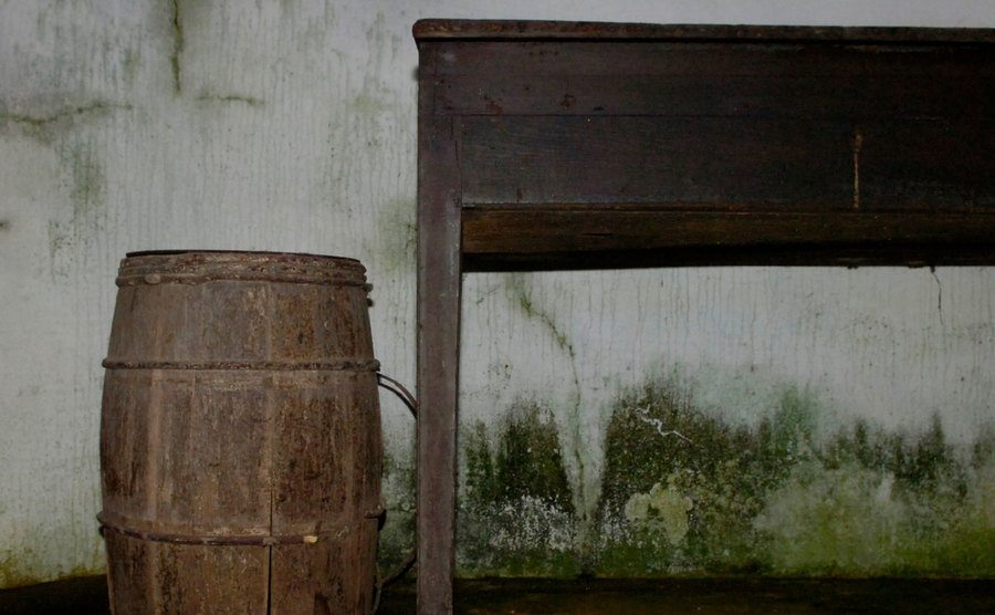 Black mold is seen on the wall of an old room. 