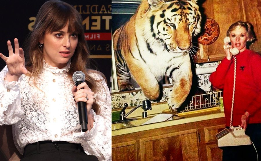 Dakota Johnson speaks to the press / Tippi Hedren is with one of her lions.