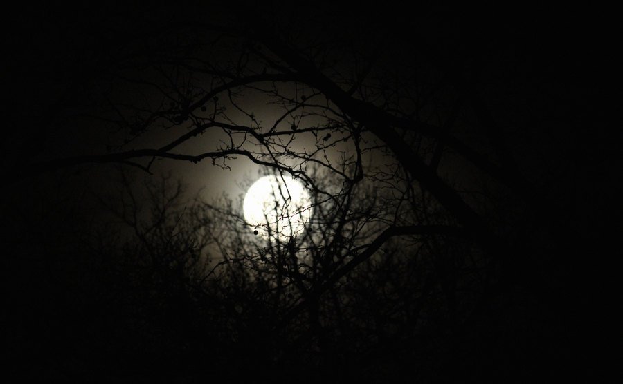 An image of a full moon illuminated at night.