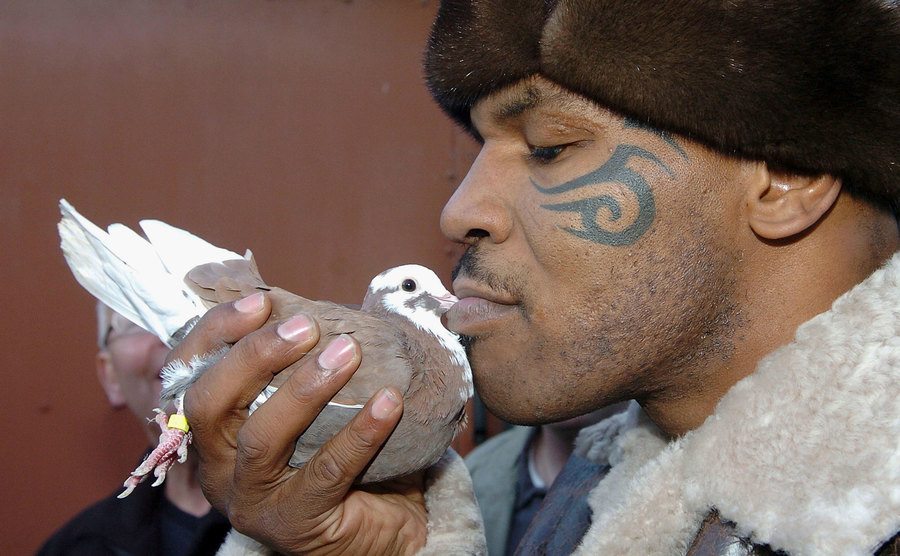 Tyson is kissing a pigeon.