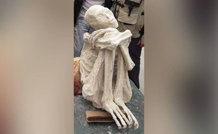 Mummified alian figures that were uncovered in Peru. 