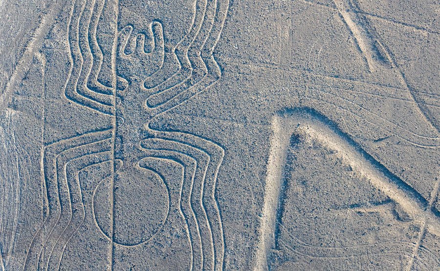 The spider of the Nazca Lines.