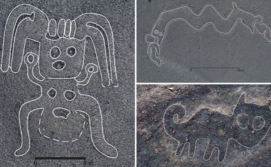 New Nazca Lines that have been discovered. 