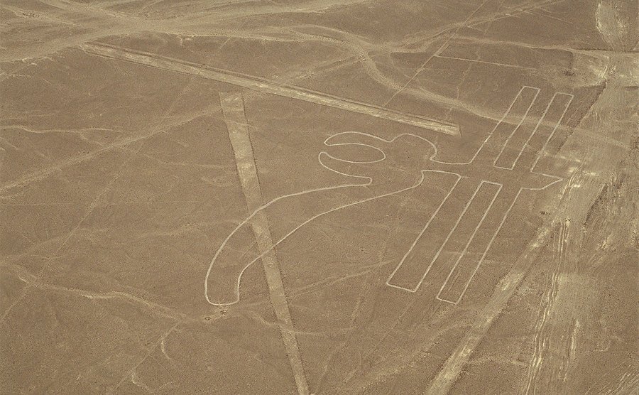 A view of the Parrot Nazca Lines. 